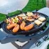 pack-barbecue-gaz-portable-sportsman-2 (6)