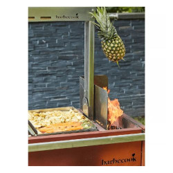 pedro-plancha-en-acier-inoxydable-barbecook (2)